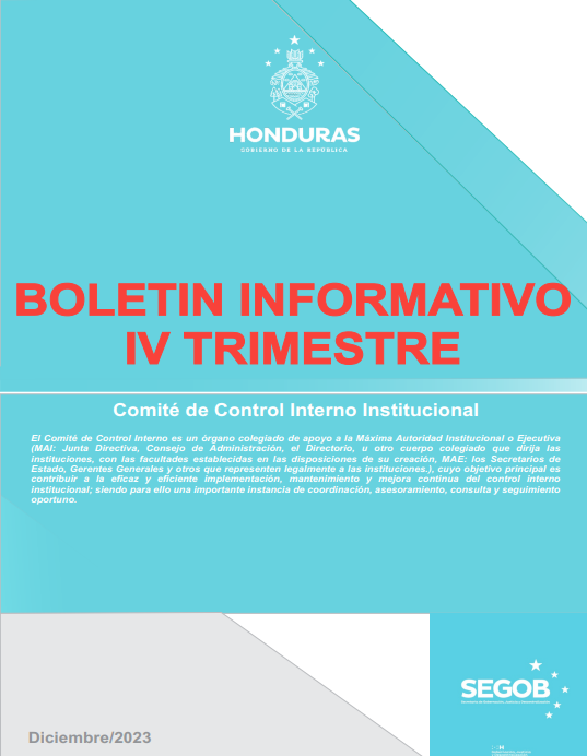 IV Trimestre Boletin Informativo 2023